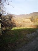 Foto - 7