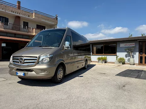 Mercedes Sprinter 519