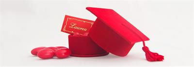 Stesura tesi di laurea in 10 giorni