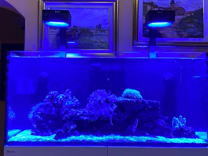 Acquario marino Redsea 425xl - Foto 4