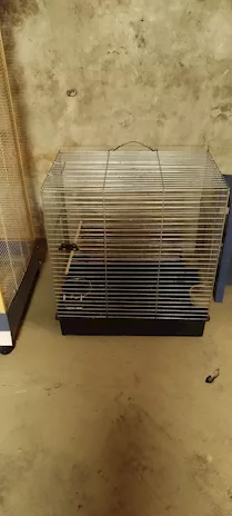 Si vende combinata composta da voliera - Foto 2