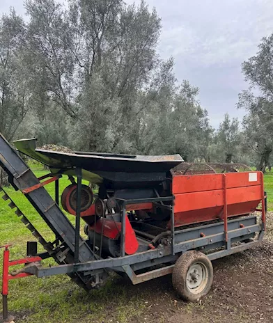 Cernitrice olive de masi - Anteprima 4