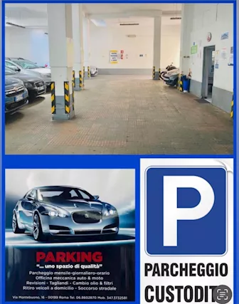 Roma / zona Trieste - cerchiamo GARAGISTA ESPERTO