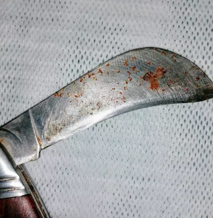 Coltello roncola - Anteprima 5