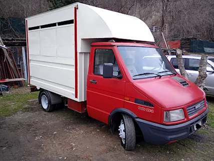 Iveco Daily 35.8 gasolio trasporto animali vivi bestiame