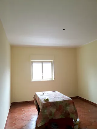 Imbianchino - Foto 2