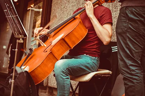 Violoncellista Savona