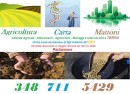 Foto 4 Vigneti e Spazio per tutti ... e anche di più