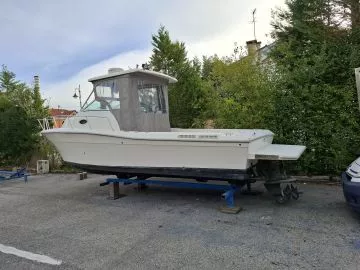 Sport Craft 231/235