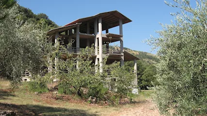 Villa in cemento con ampio terreno con uliveto