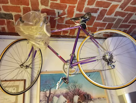 Bici corsa Viale