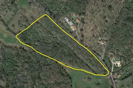 Terreno agricolo Vetulonia (Castiglione della Pescaia)
