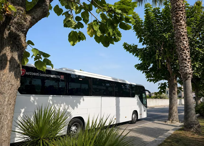 Foto 3EVOBUS Marca SETRA S 415 GT HD • 428 CV • EURO 5 Anno 2011 Km 573000