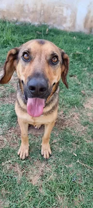 Archimede e la sua voglia di casa