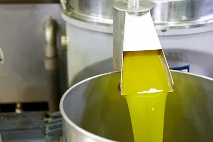 Olio d'oliva extravergine - Foto 2