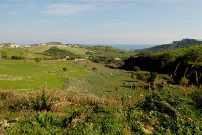 Terreno di 75.000m²