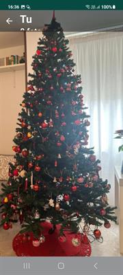 Albero di natale - Foto 5