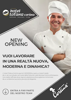 Hotel Tofana Cortina cerca VARIE FIGURE