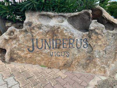 PORTO ROTONDO RESIDENCE JUNIPERUS - Foto 3