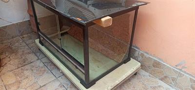 Teca per rettili