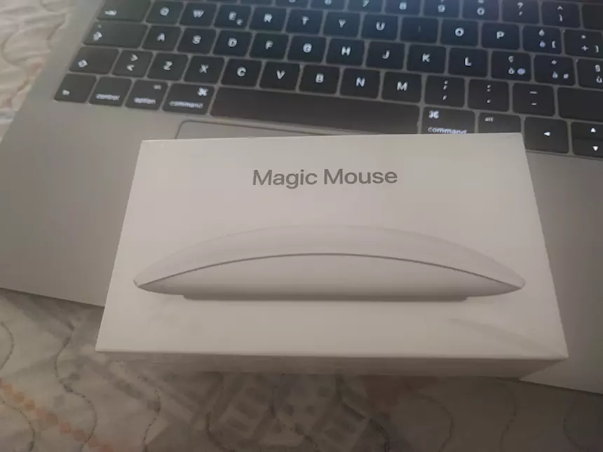 Apple Magic Mouse (1) originale
