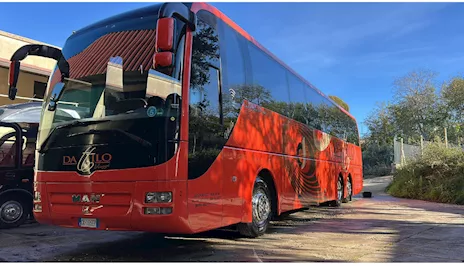 Man Lion's Coach