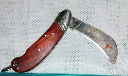 Coltello roncola - Anteprima 2