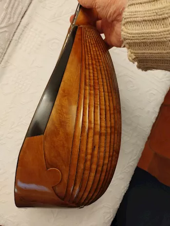 Offresi mandolino (Achille Capannari), mai usato - Anteprima 2