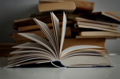 Lezioni private statistica ed informatica (R Studio, SPSS..)