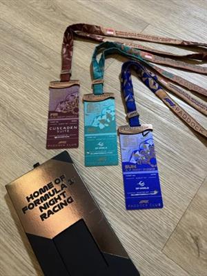 Pass Paddock Club Monza 2024 /tribuna VIP - Foto 2
