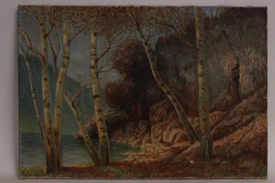 Quadro olio su tela alberi di betulla, con firma