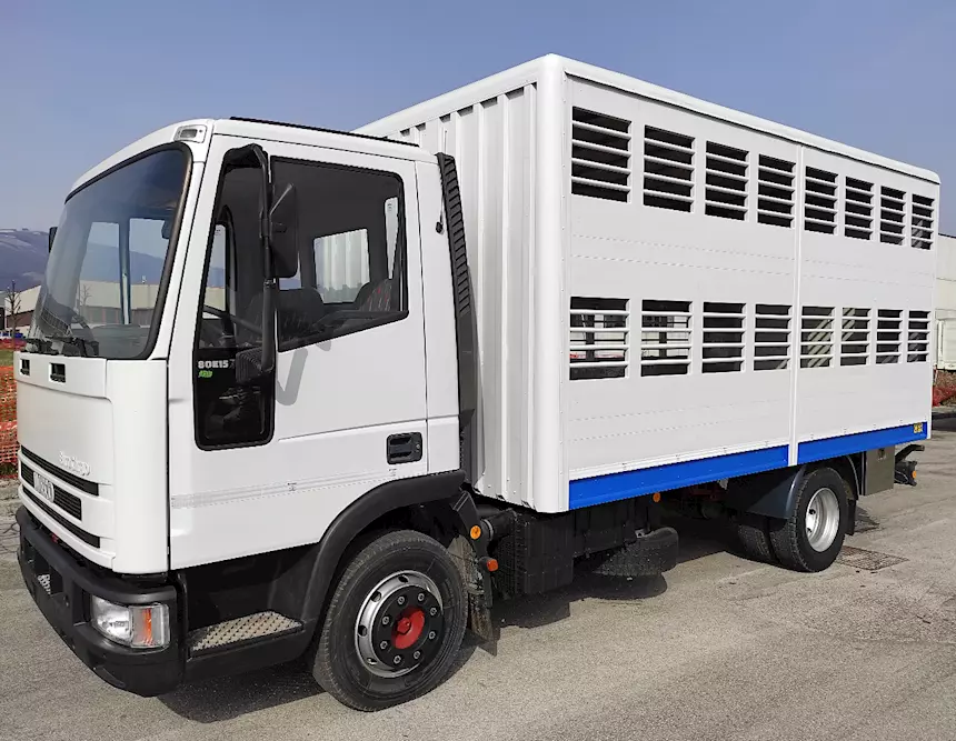 Foto 7IVECO 75E15 Trasporto Animali Vivi e Bestiame Anno 1998, in ottime condizioni