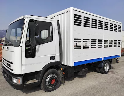 IVECO 75E15 Trasporto Animali Vivi e Bestiame Anno 1998, in ottime condizioni - Anteprima 7