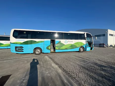 Lion's Coach