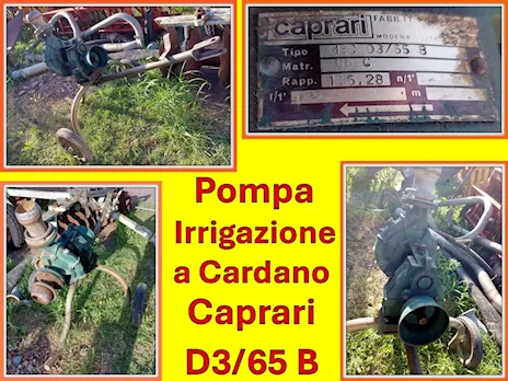 Pompa d'irrigazione a cardano Caprari MEC D3/65B su carrello