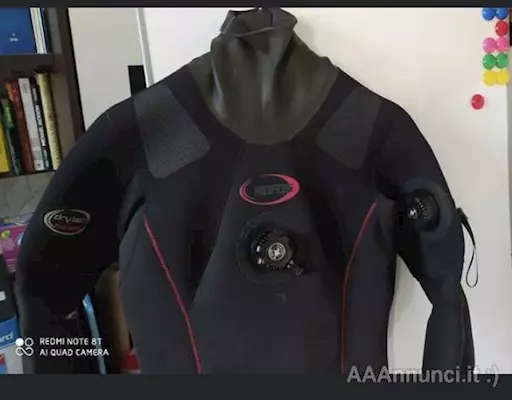 Muta stagna Rofos