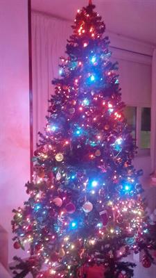 Albero di natale - Foto 4