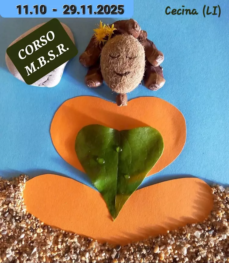 CORSO DI MEDITAZIONE MINDFULNESS M.B.S.R - Foto 2