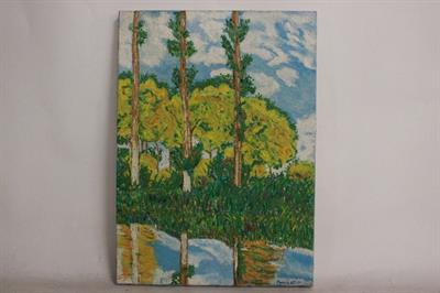 Quadro olio su tela di bosco riflesso nell'acqua, firmato