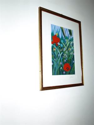 Quadro Aloisi