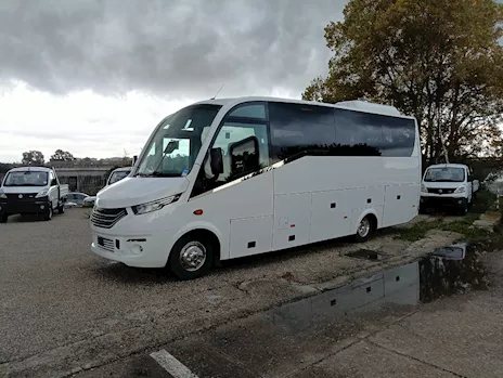 Minibus Turistico Iveco Dolphin