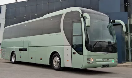 Man Lion Coach