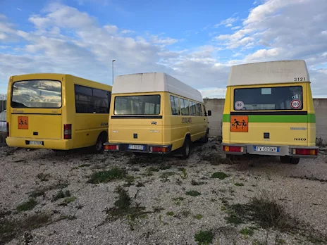 Scuolabus Iveco vari modelli e capienze