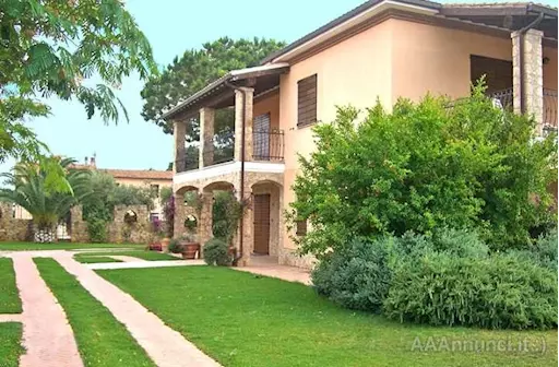Vita a Capalbio - Vigna - Ulivi - Seminativi