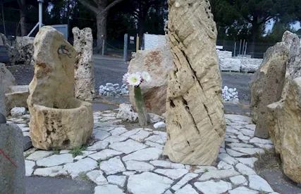Pietra di Trani camminamenti pavimenti rivestimenti