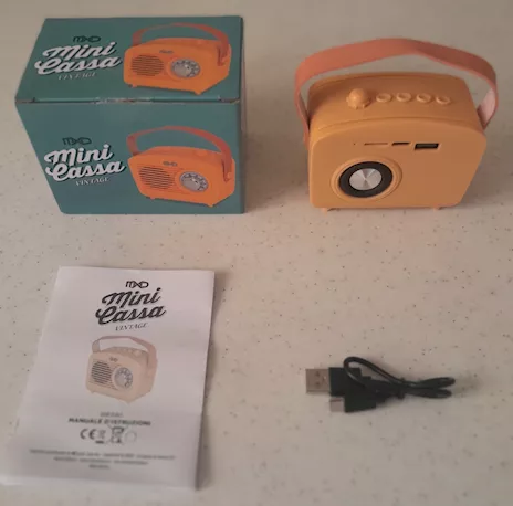 Cassa amplificata regolabile Bluetooth lettore SIM card
