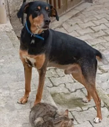6 Anni Vissuti Tutti in Casa