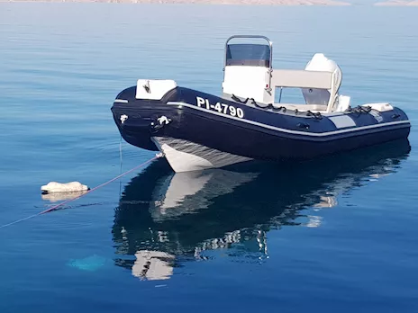 Nuovo - Gommone 490 cm + Tohatsu 60 + rimorchio - Solo 16 ore