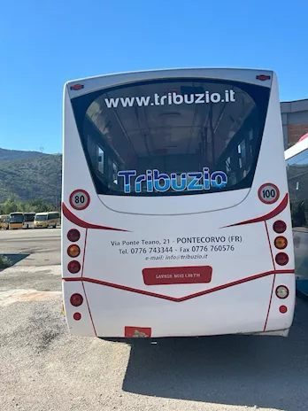 Vendita Iveco 65/cng cacciamali