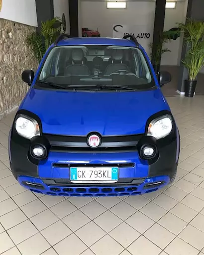 Fiat Panda Cross usata